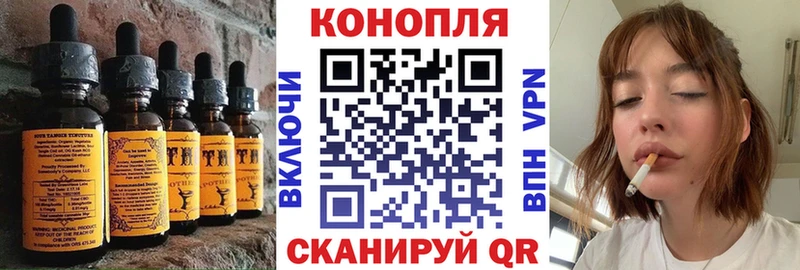 Купить где  Андреаполь  Canna-Cookies конопля 