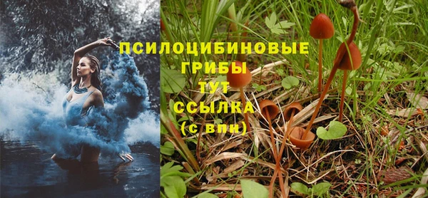 каннабис Магадан