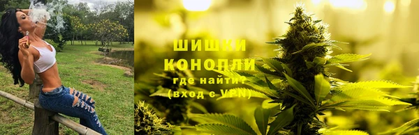 a pvp Магас