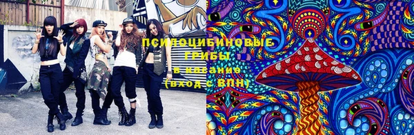 индика Липки